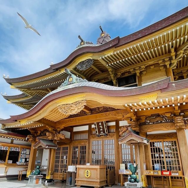 【青森県/蕪島神社】4万羽のうみねこと遭遇できる神社