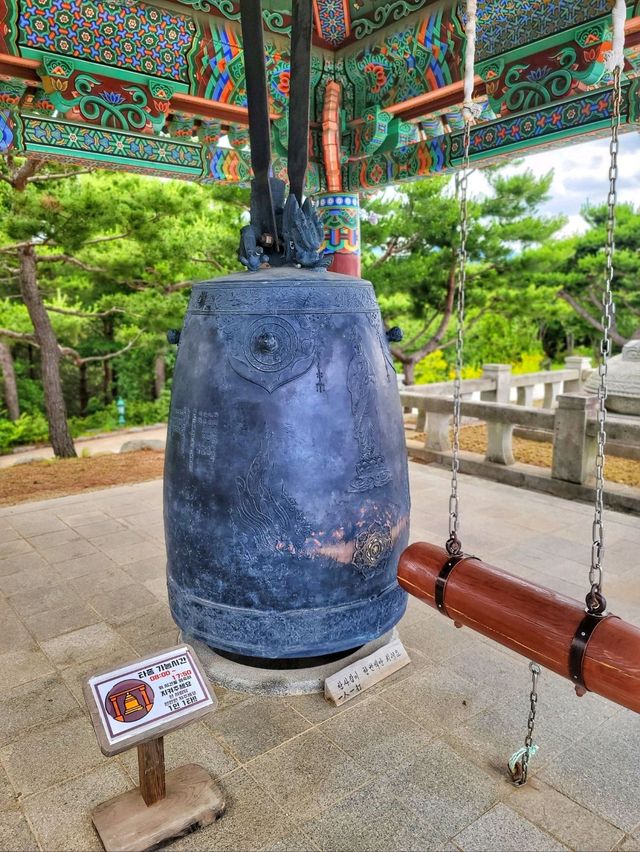꼭 한번은 가봐야할 양양여행지 1순위🩵