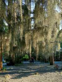 Hidden Oasis in Bangkok - Poomjai Garden