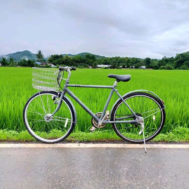 🏕The River Runs ChiangKlang ณ น่าน