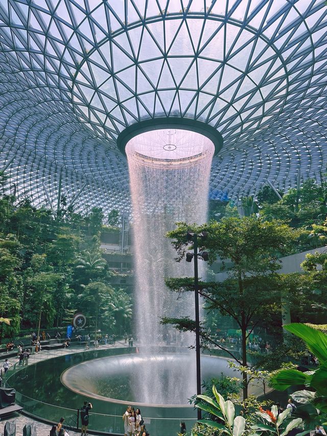 《新加坡》世界最高室內瀑布 樟宜機場必拍雨漩渦-星耀樟宜
