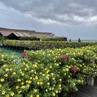 Kapalai Sipadan Dive Resort - So beautiful!