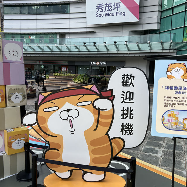 台灣人氣巨星喵登陸秀茂坪