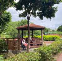 永寧水圳公園🍃