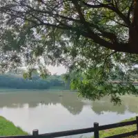 優美湖景-八掌溪親水公園