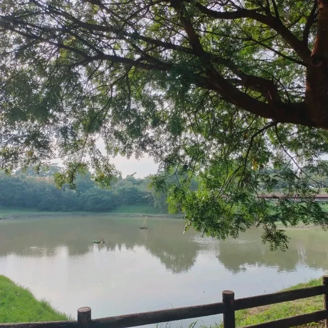 優美湖景-八掌溪親水公園