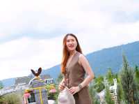 🥳 ปักหมุดคาเฟ่สวยเขาใหญ่ ฟีลต่างประเทศ 🌲