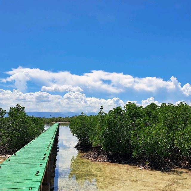 맹그로브와 철새의 천국, Olango Island