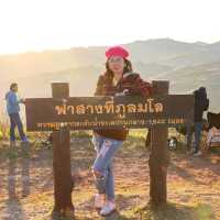 ปักหมุดภูลมโล ชมพญาเสือโคร่ง
