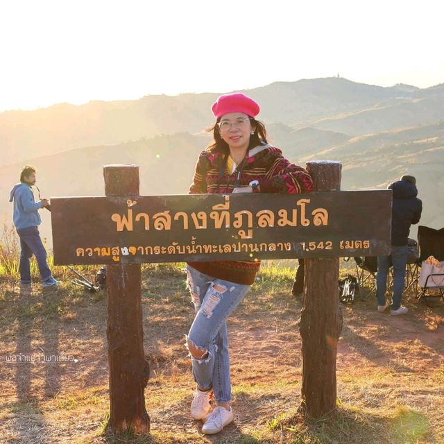 ปักหมุดภูลมโล ชมพญาเสือโคร่ง