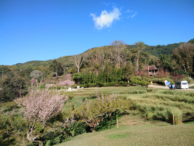 สถานีเกษตรหลวงอ่างขาง
