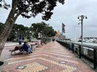 奧克蘭餐廳排名Oyster and Chop，就在港口旁邊，可以邊吃海鮮邊看風景唷