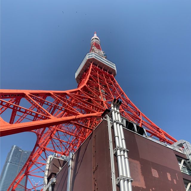 Tokyo tower Stunning views