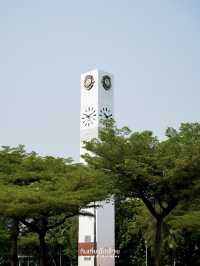 ปิคนิครับลมที่สวนจตุจักร