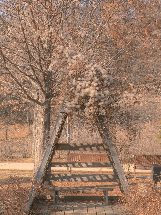 미세먼지 심한날 실내데이트 하기 좋은곳"푸른수목원"