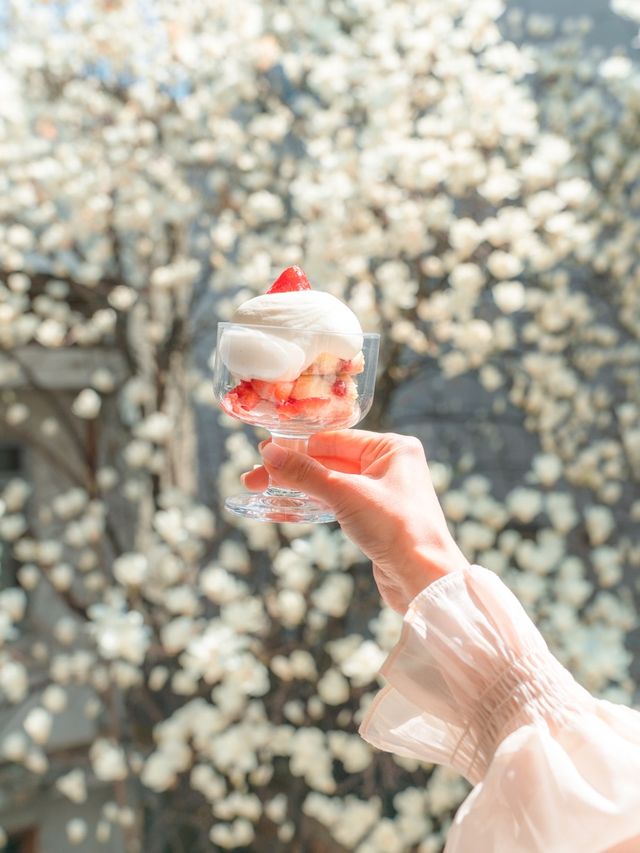 대구 목련카페 핫플 포토존이 유명한곳💓