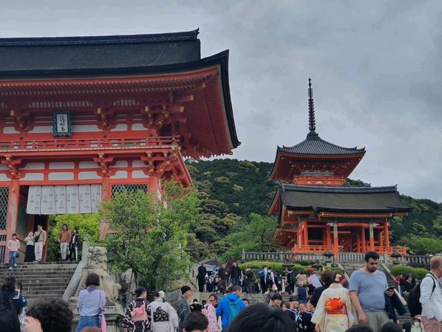 Kiyomizu-dera Temple | Kyoto Japan🇯🇵