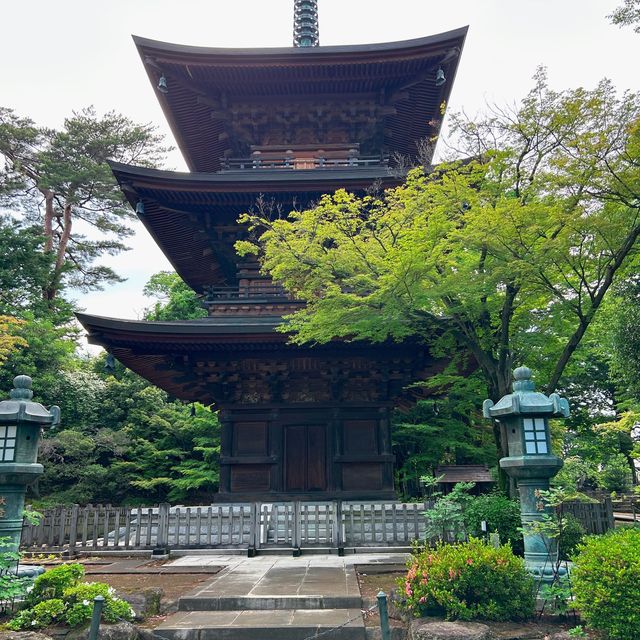 【東京】豪徳寺の招き猫