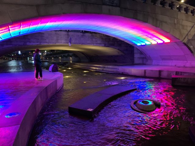 Cheonggyecheon Stream 🦆