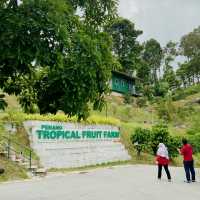 Tropical Fruit Farm: Where Nature Blooms