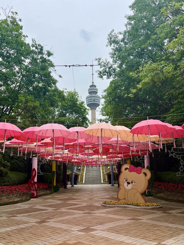 Where Dreams come true 365일 추억을 만드는 곳으로 초대합니다 :)