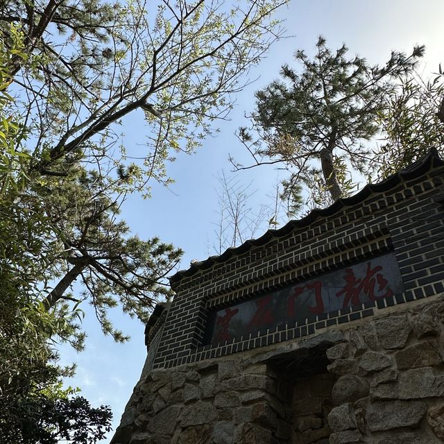 釜山大江大海的海東龍宮寺🐲🐉