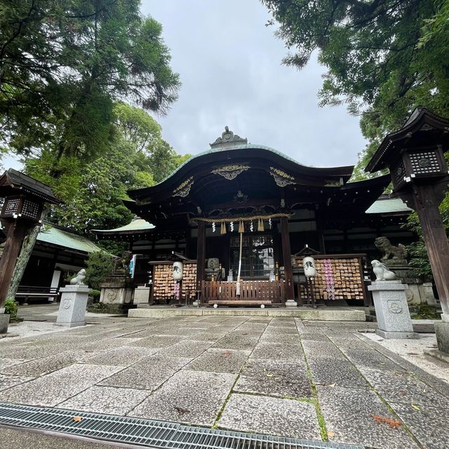【超多可愛兔兔】京都東天王岡崎神社