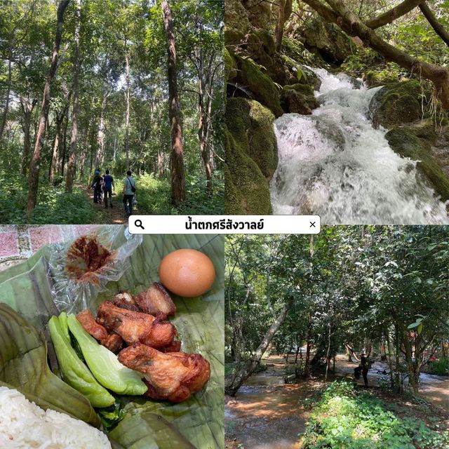 เชียงดาวไปไหนดี? 🌳💚