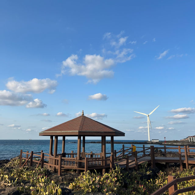 제주도 월령 선인장 마을, 선인장 군락지에서 찍은 인생샷 🌵📸