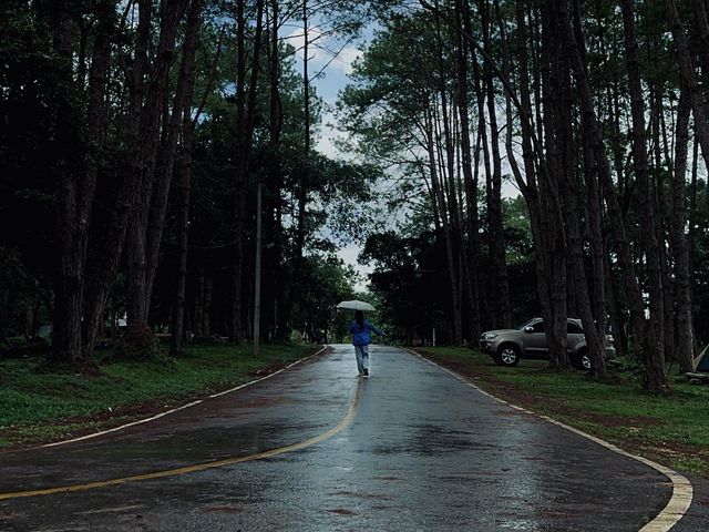 🍃…ชอบจริงๆนะ ธรรมชาติกับพื้นที่สีเขียว…🍃