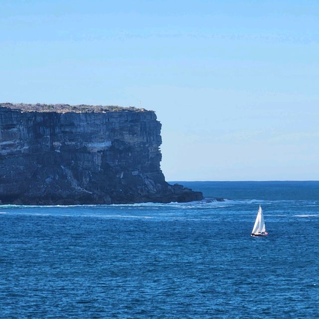 Whale watching, that is supposed to be the plan