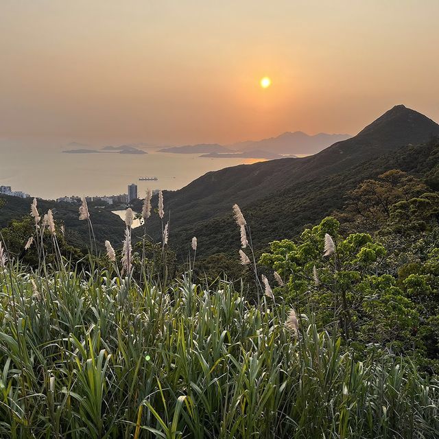 🇭🇰山頂健步,免費觀景台俯瞰維港 🇭🇰山頂健步,免費觀景台俯瞰維港