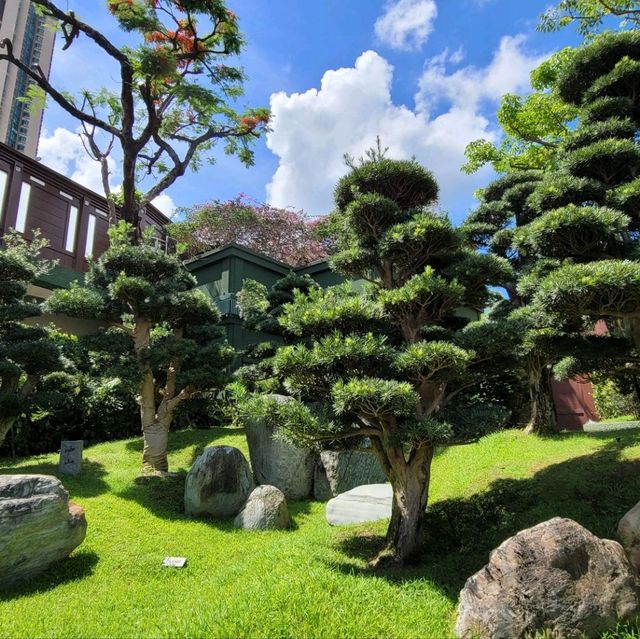 香港南蓮園池：尋找城市中的恬靜之地