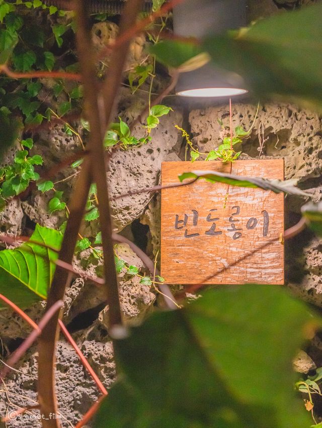 🏡제주스러움이 가득한 감성 숙소 [제주, 빈도롱이]