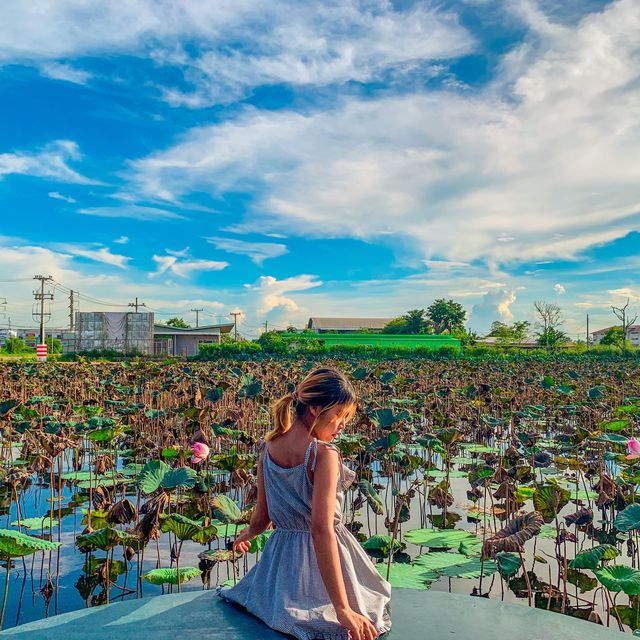 สวนอาหารที่มีมุมถ่ายรูปเยอะ‼️