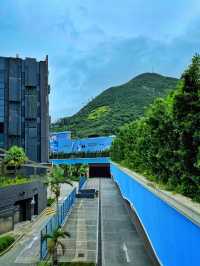 萬聖節 入住香港海洋公園萬豪酒店