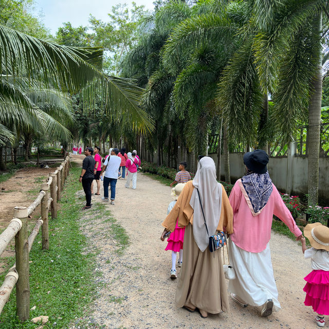 Songkhla Flowers Farm for Flowers Lovers ! 💕