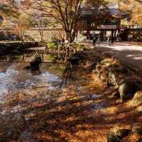 Beautiful Autumn View Of Naejangsa Temple 