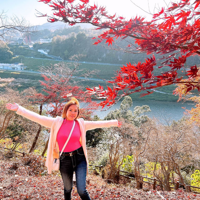 三次市　尾関山公園