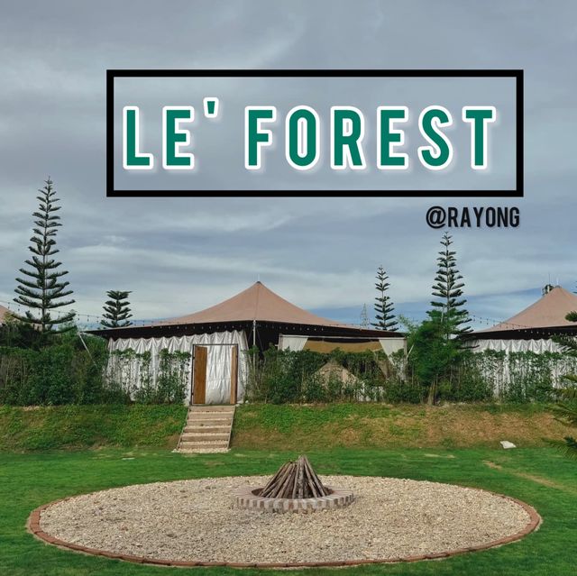 🏕️หนาวนี้ไป เลอ ฟอเรสต์ แนวแคมปิ้งจังหวัดระยองกัน