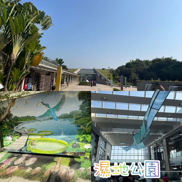 香港人後花園☺️雀鳥嘅天堂🪿🦆🐦‍⬛