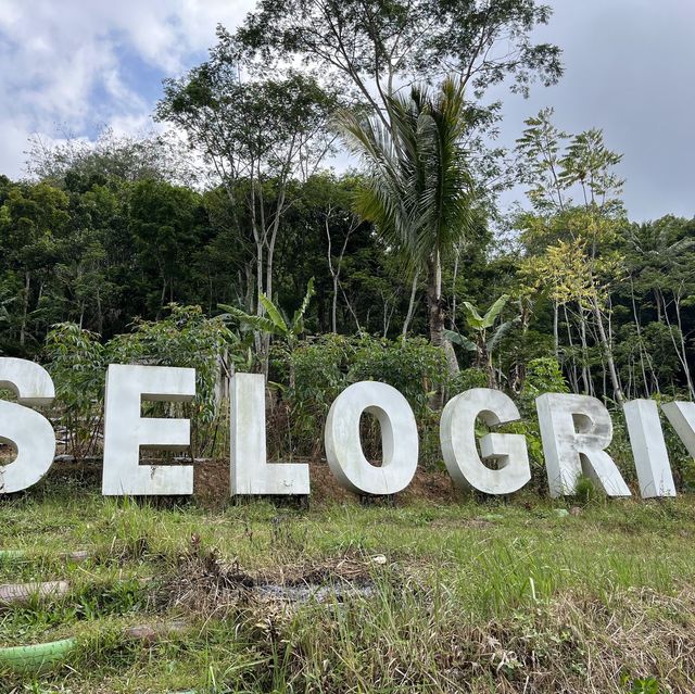 Candi Selogriyo 最高！(ジョグジャカルタ　インドネシア🇮🇩)