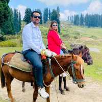 horses 🐎 ridding kasmir 