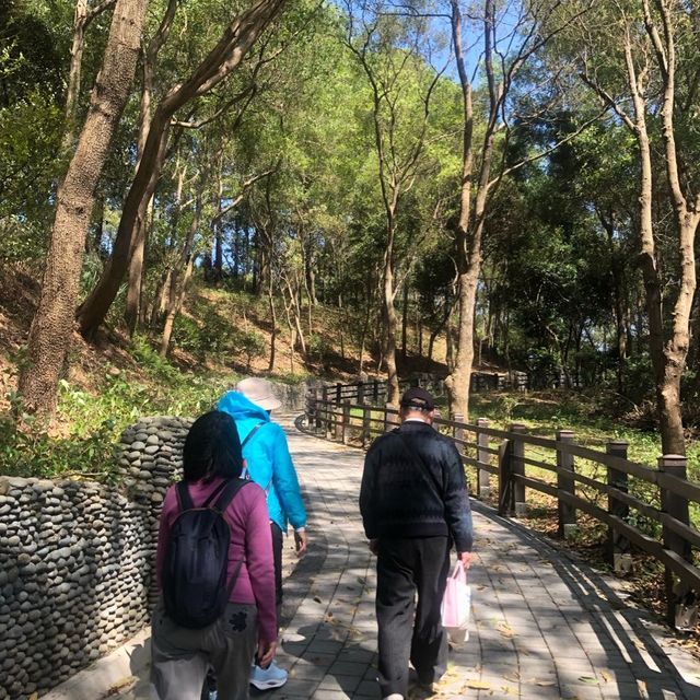 長庚養生文化村（有隱藏版櫻花木棧道八重櫻）