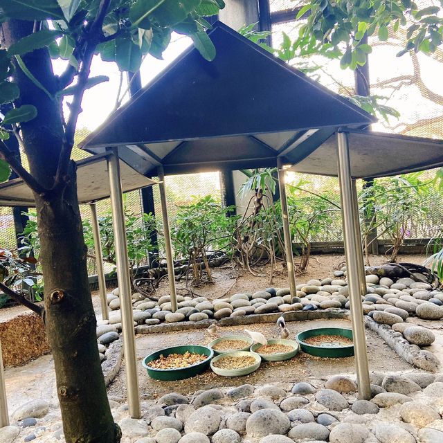 繡球花打卡遊 📍元朗
