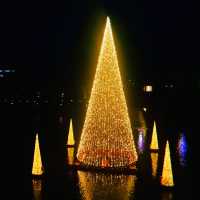 Amazing Toyama