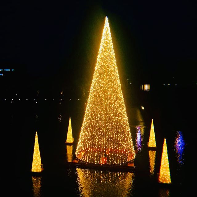 Amazing Toyama