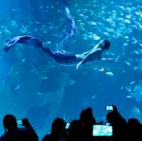 Aquaria Phuket
