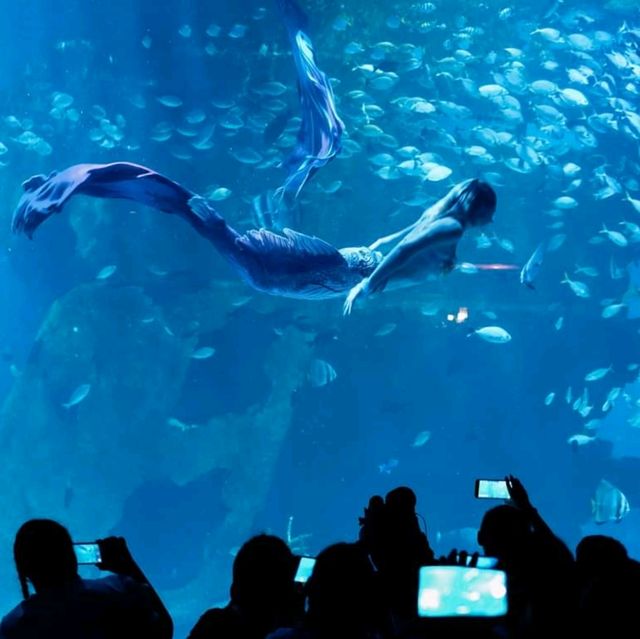 Aquaria Phuket