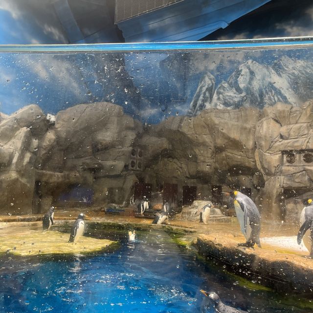 海洋公園：南極奇觀